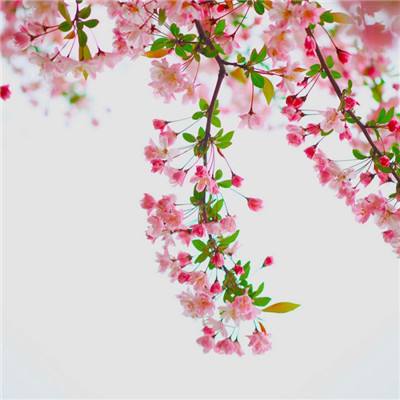 万博全站(Manbetx)官方网站截图